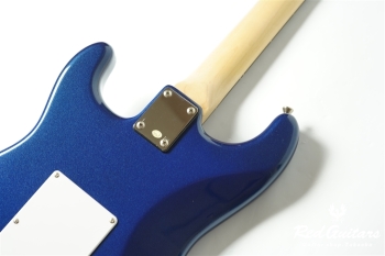 BST-1R - DLPB